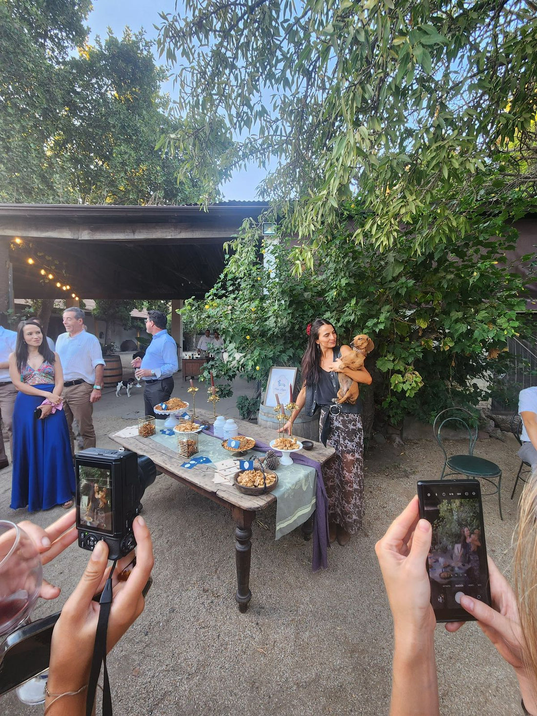 Fiesta de la vendimia en San Roque