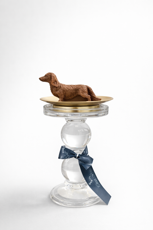 Golden Dog Casa Roque