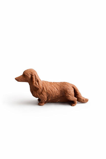 Golden Dog Casa Roque