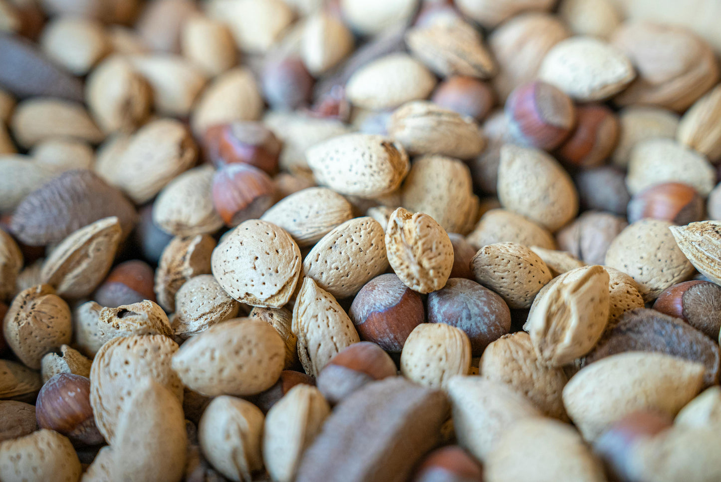 Troncos Petite Almendra